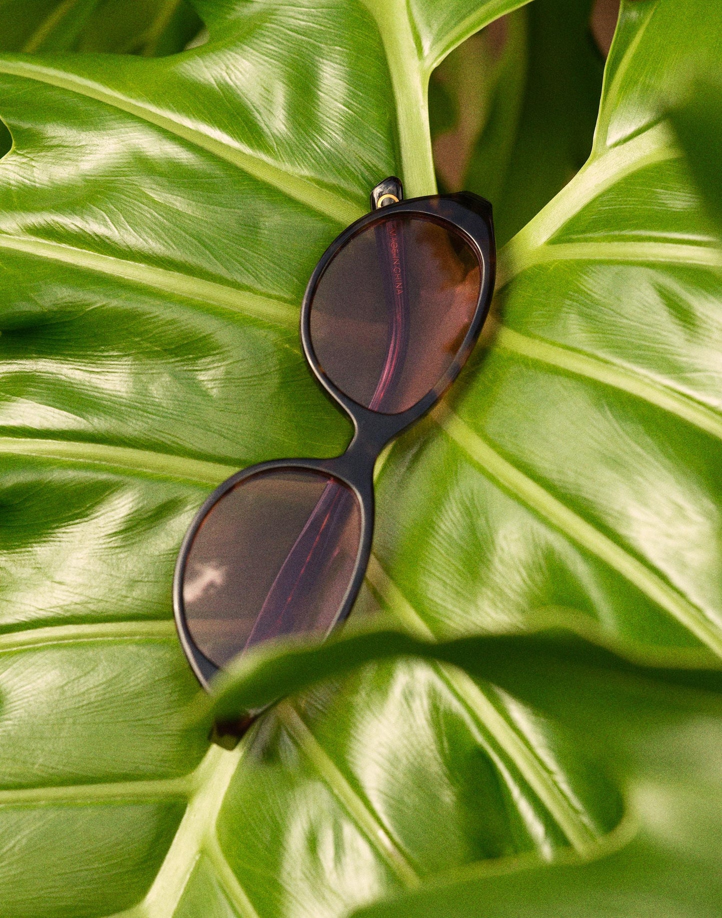 Madewell The Solina Oval Sunglasses Whisky Tort