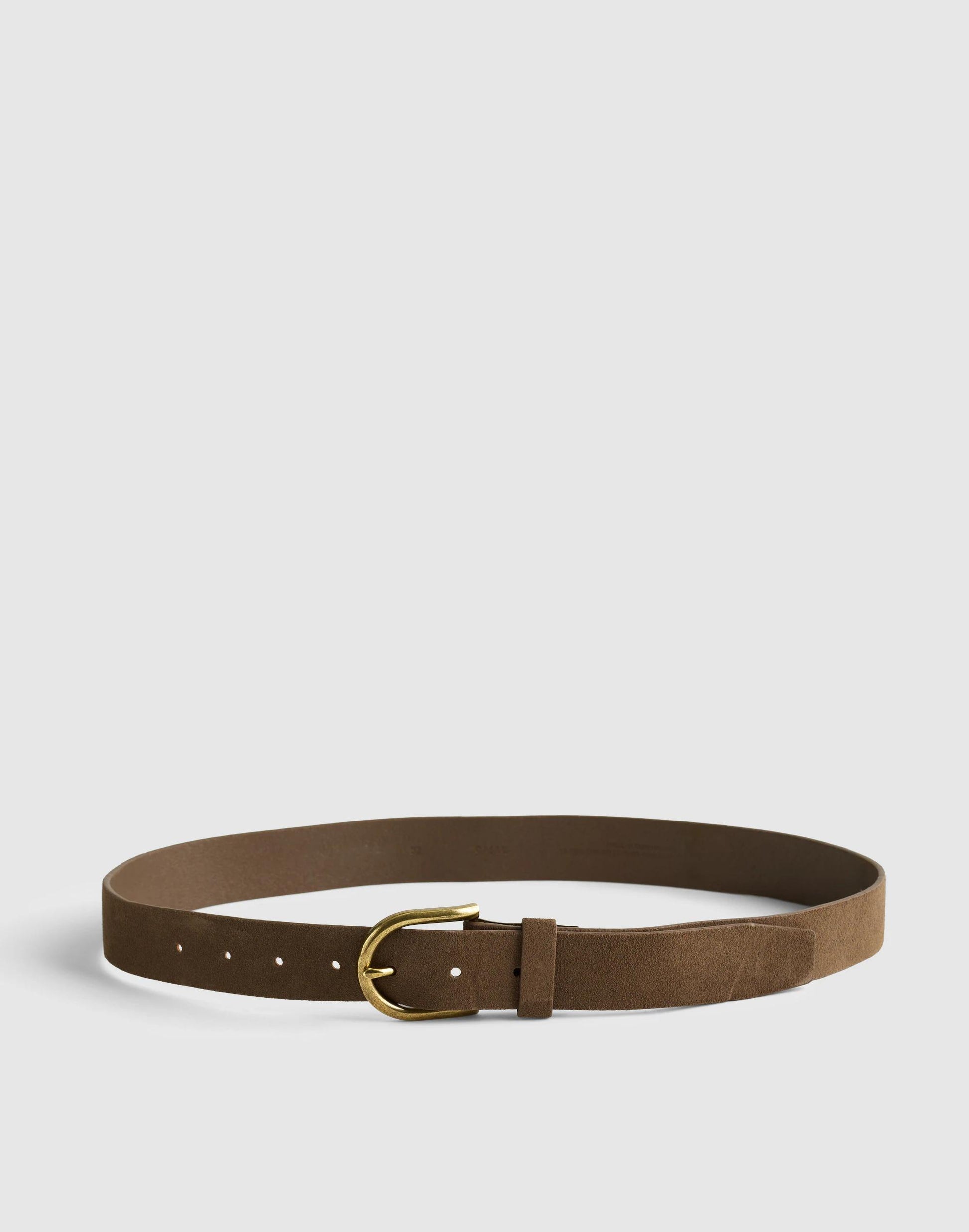 Madewell Brass-Buckle Belt in Suede Earth Tone