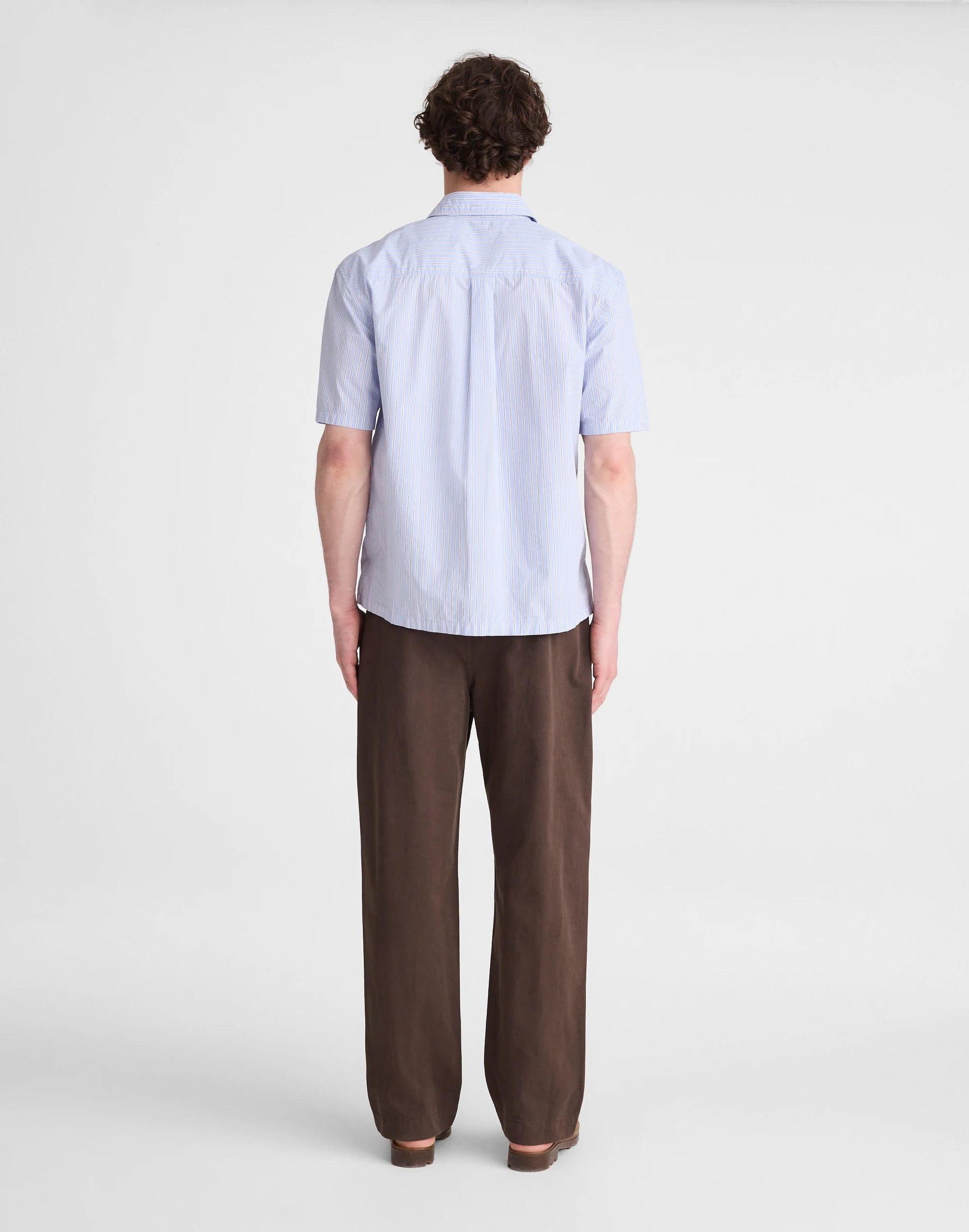 Madewell Pleated Chino Pants in Uniform Twill Chocolate
