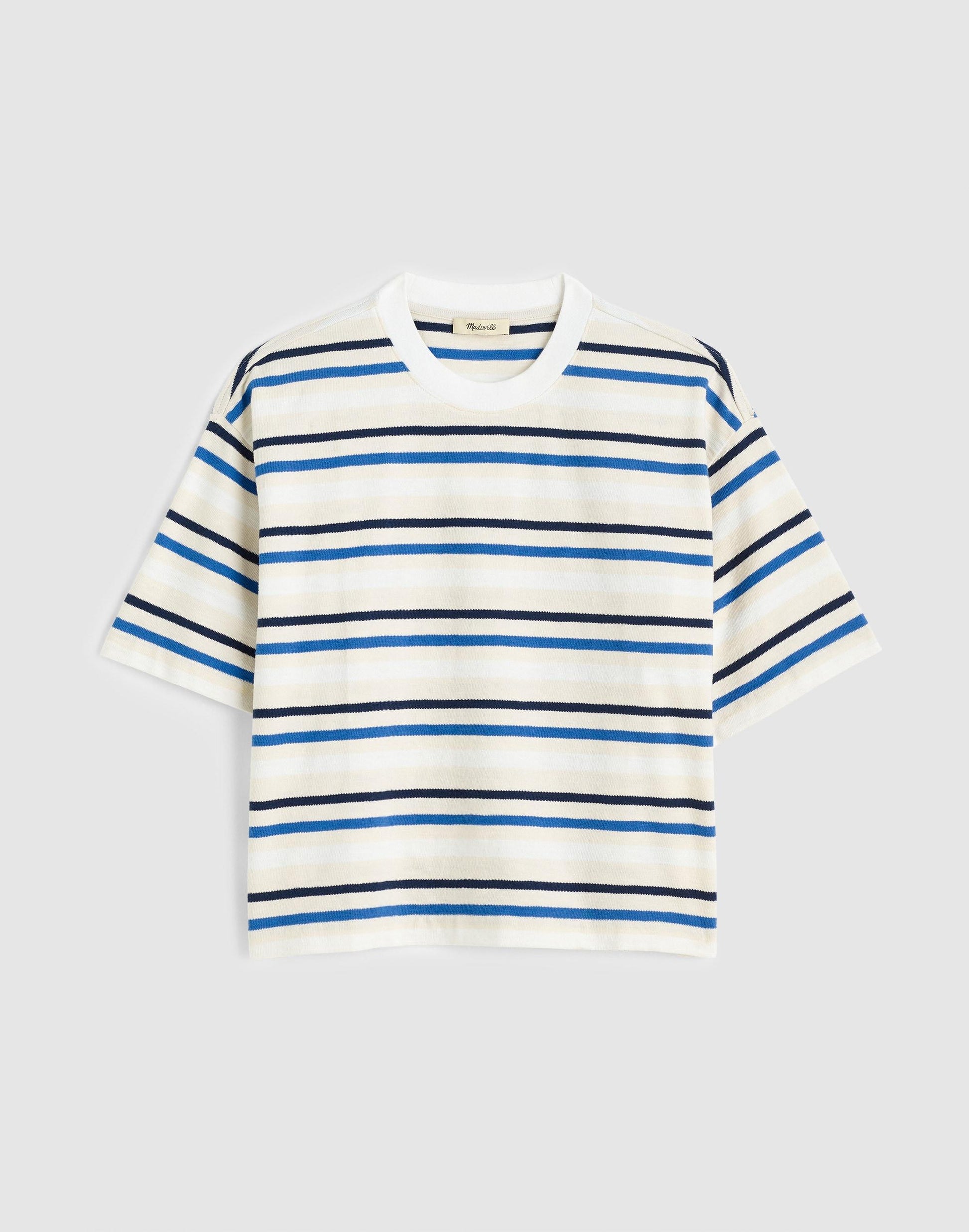 Madewell The Easy Crewneck Short-Sleeve Tee Variegated Slub Stripe