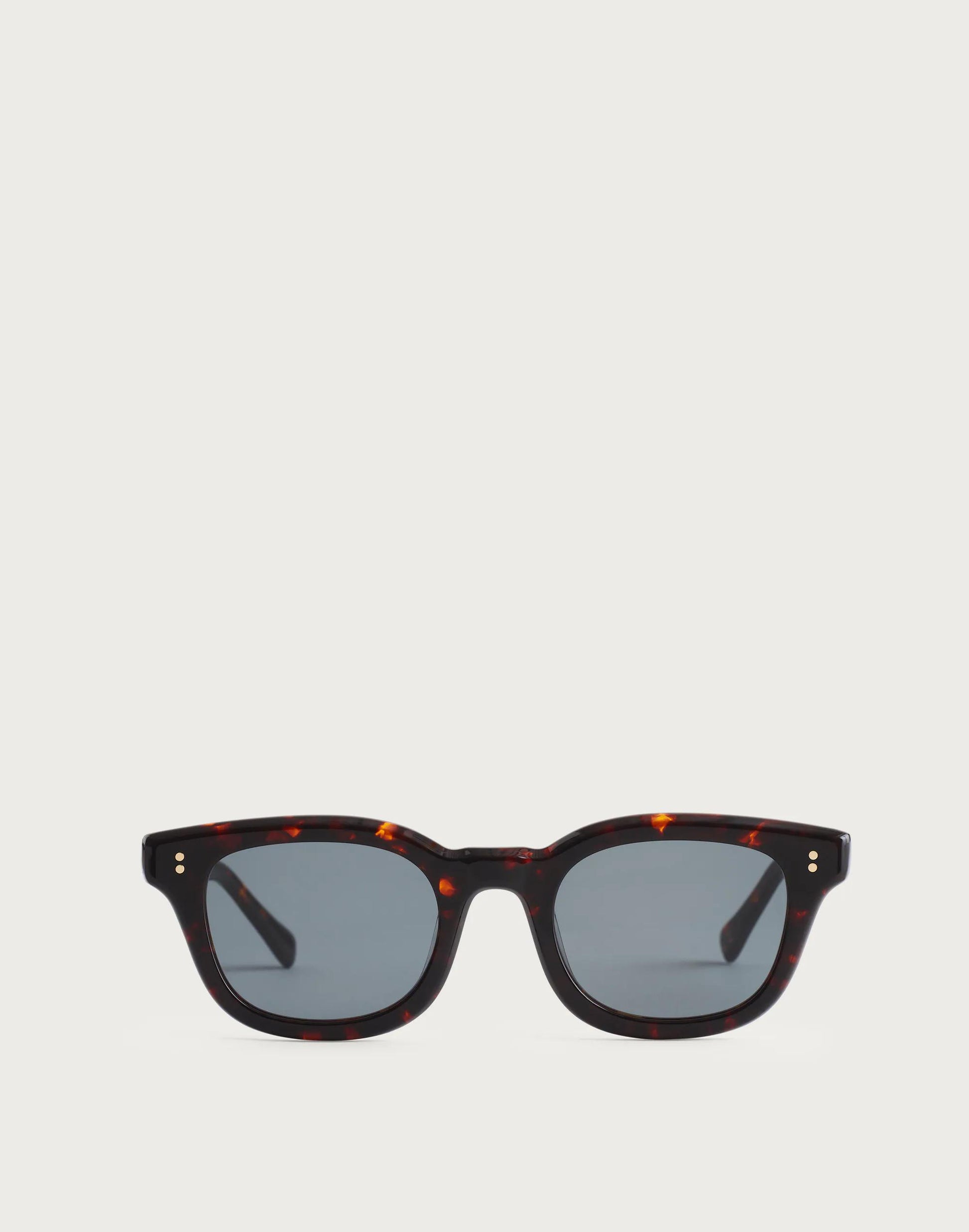 Madewell Rivington Sunglasses Multi Tort