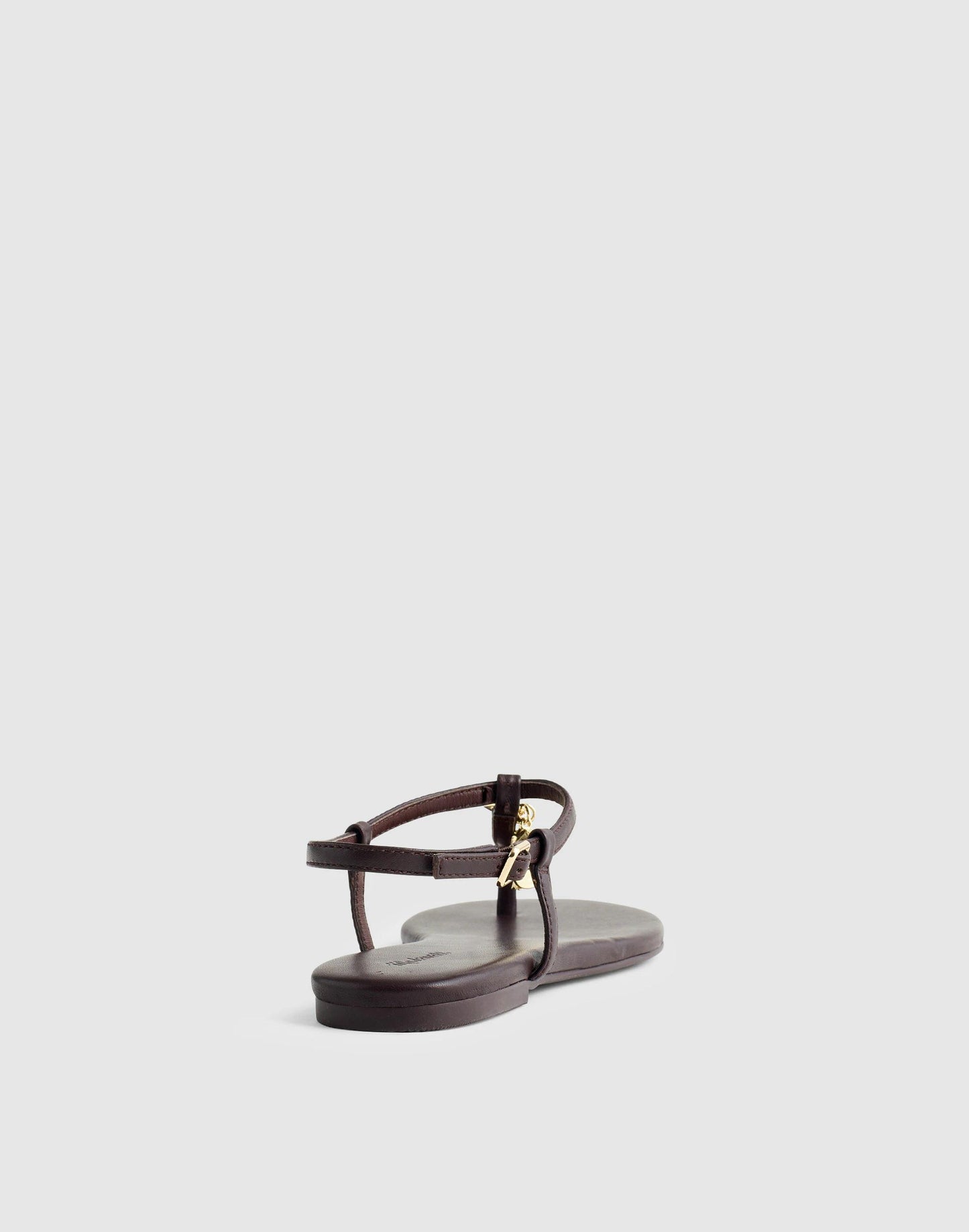 Madewell Madewell x Shopbop Iggy Charm T-Strap Sandal in Leather Coffee Bean