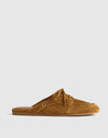 Dried Acorn
